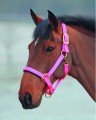 Topaz Nylon Headcollar